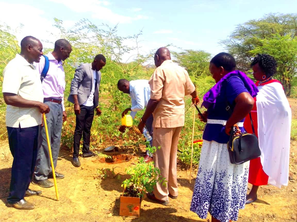 Climate Action & Community Resilience
