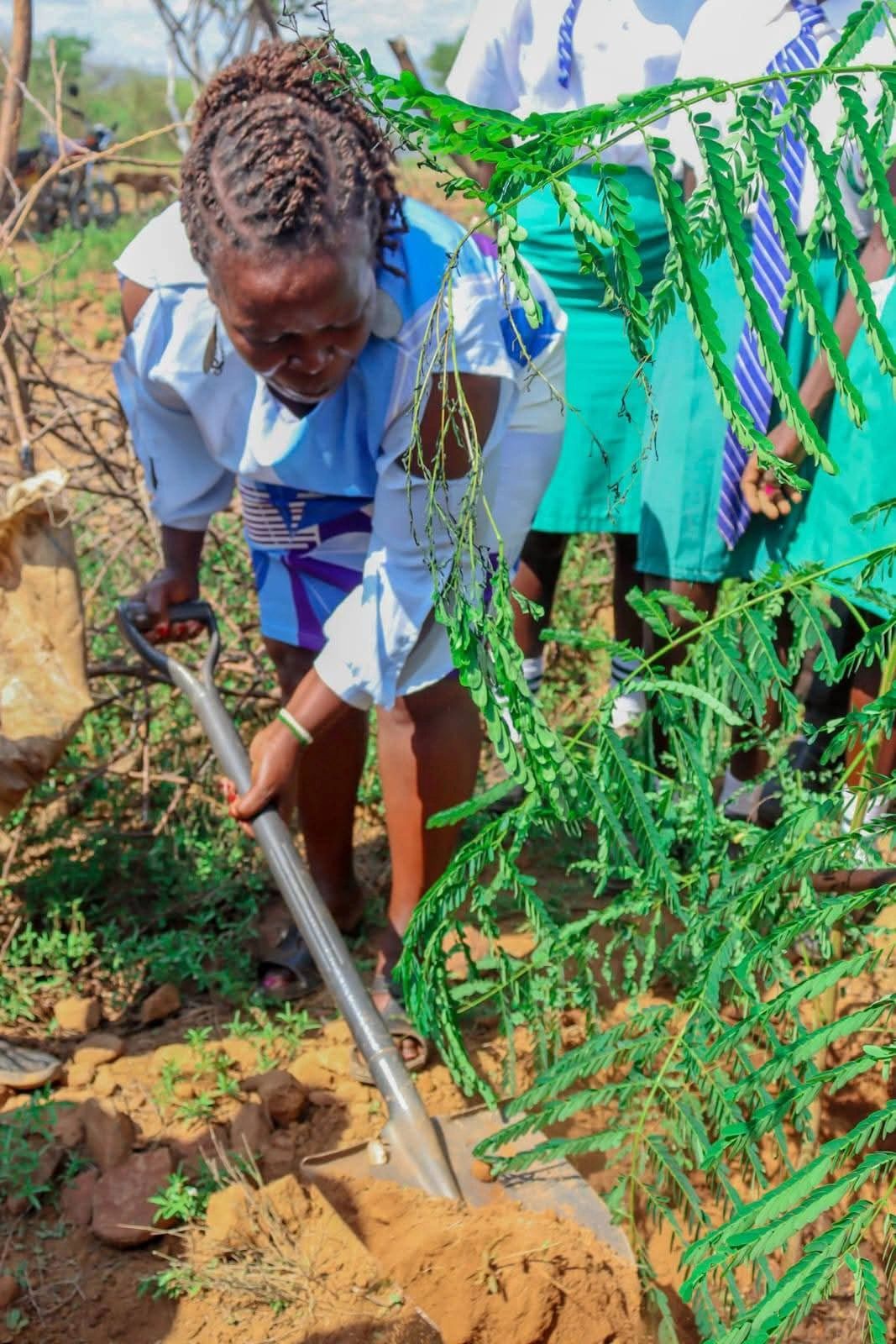 Environmental Conservation & Tree Growing
